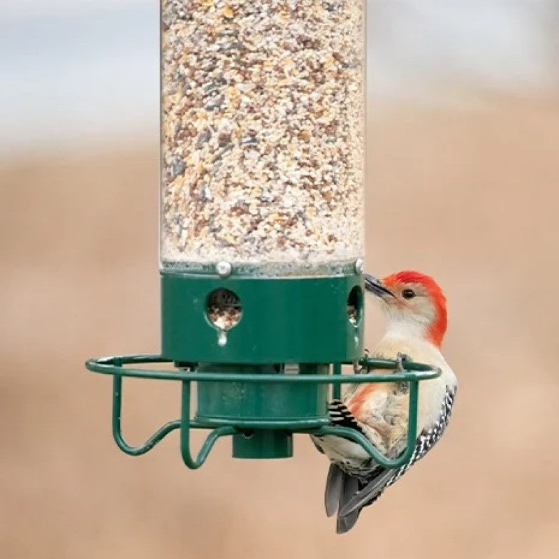 Comedero para Pájaros Verde a Prueba de Ardillas con Metal y Policarbonato