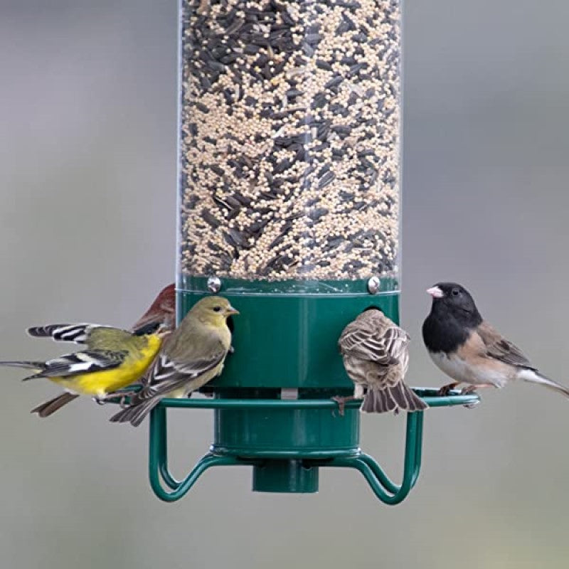 Comedero para Aves Verde a Prueba de Ardillas con Metal y Policarbonato