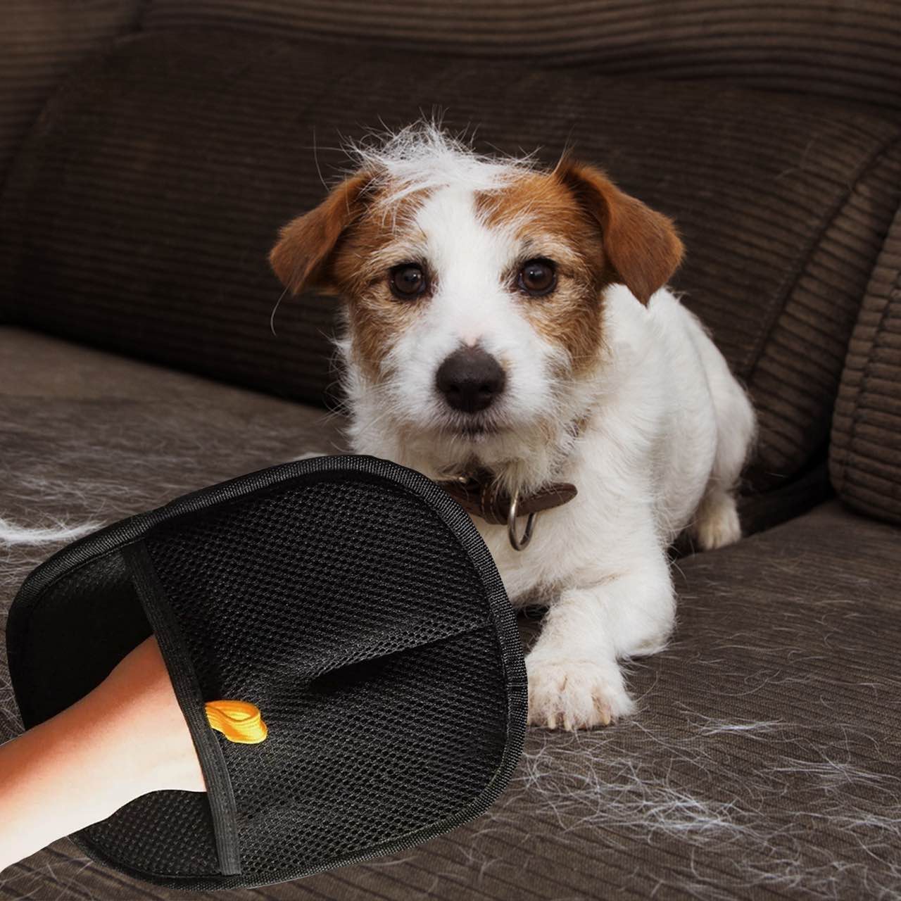 GroomyGlove – Guante Antiestático | 1+2 GRATIS