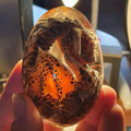 Huevo de Dragón de Lava Hecho a Mano Souvenir para Fans de la Fantasía