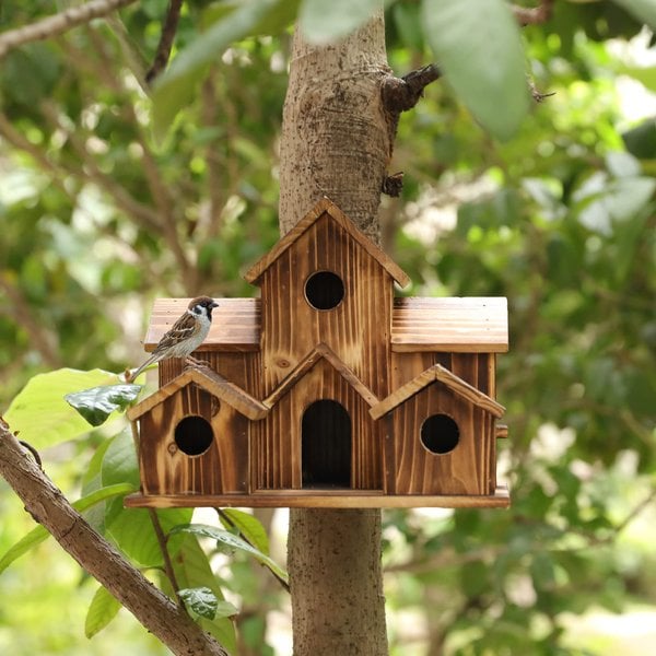 Casa de Aves de Madera Hecha a Mano - 6 Entradas - Diseño Sostenible