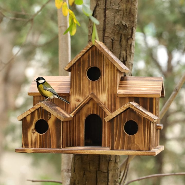 Casa de Aves de Madera Hecha a Mano - 6 Entradas - Diseño Sostenible