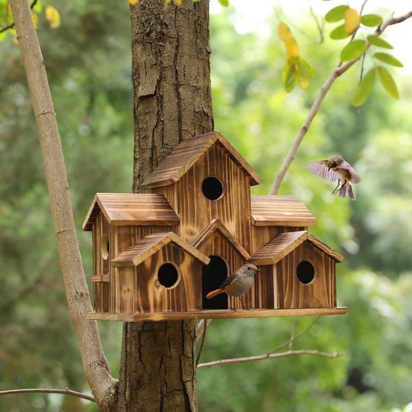 Casa de Aves de Madera Hecha a Mano - 6 Entradas - Diseño Sostenible