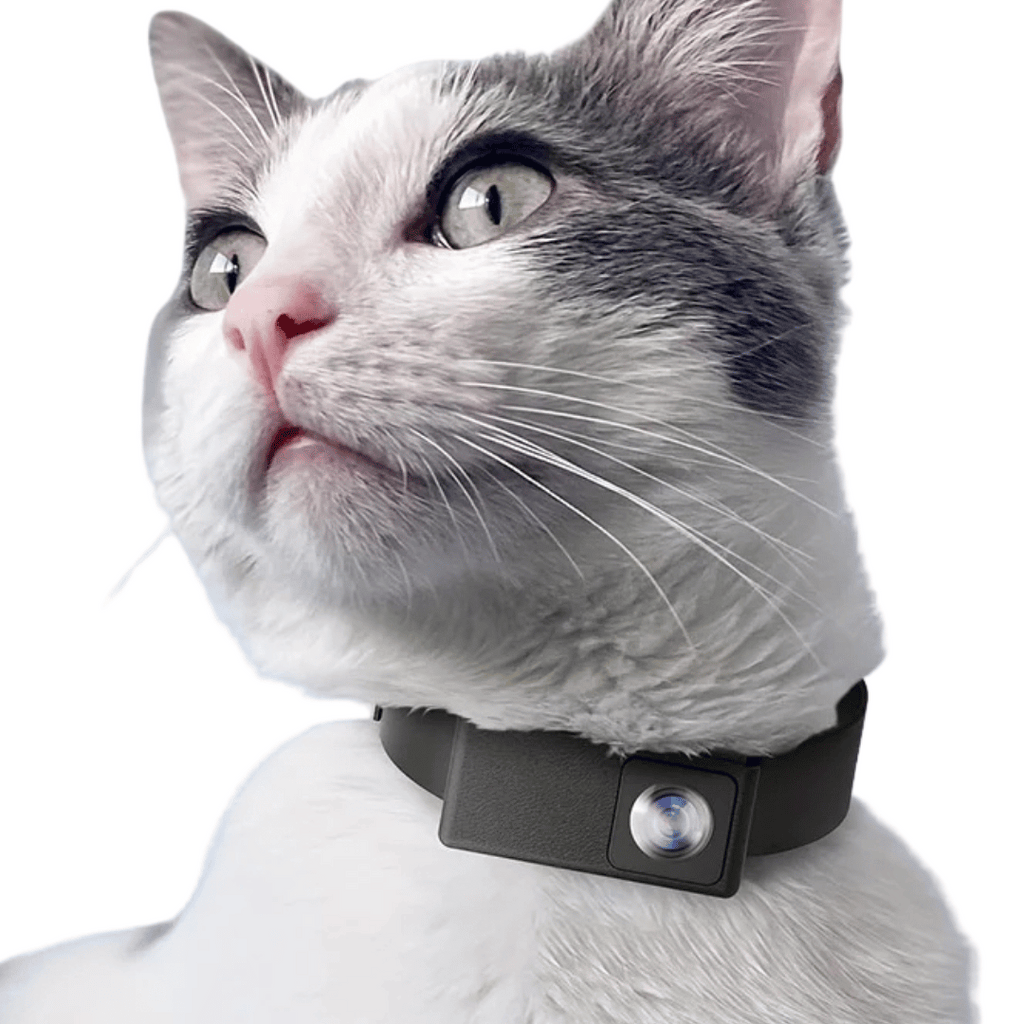 Cámara de Collar HD para Mascotas con Lente de 160° para Perros y Gatos