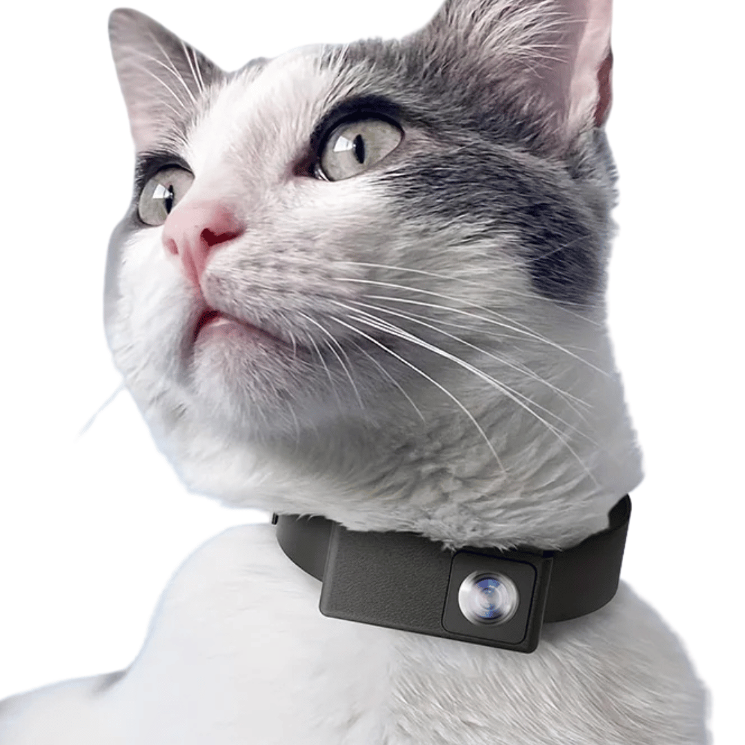 Cámara de Collar HD para Mascotas con Lente de 160° para Perros y Gatos