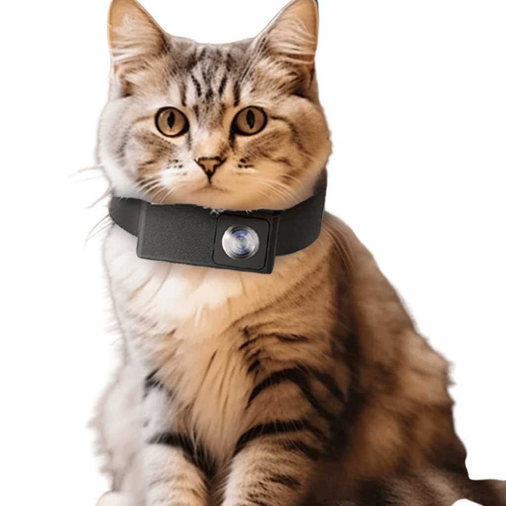 Cámara de Collar HD para Mascotas con Lente de 160° para Perros y Gatos