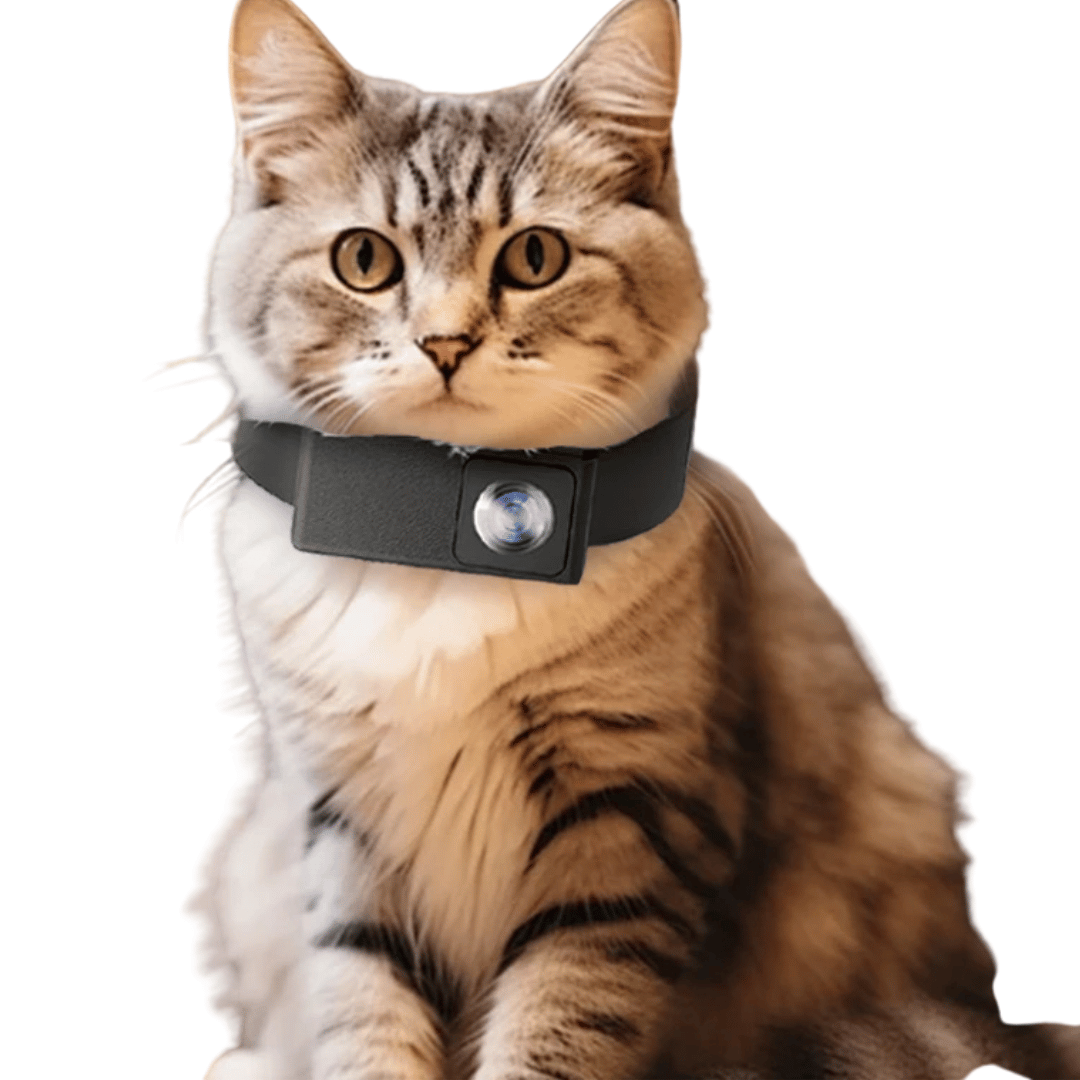 Cámara de Collar HD para Mascotas con Lente de 160° para Perros y Gatos