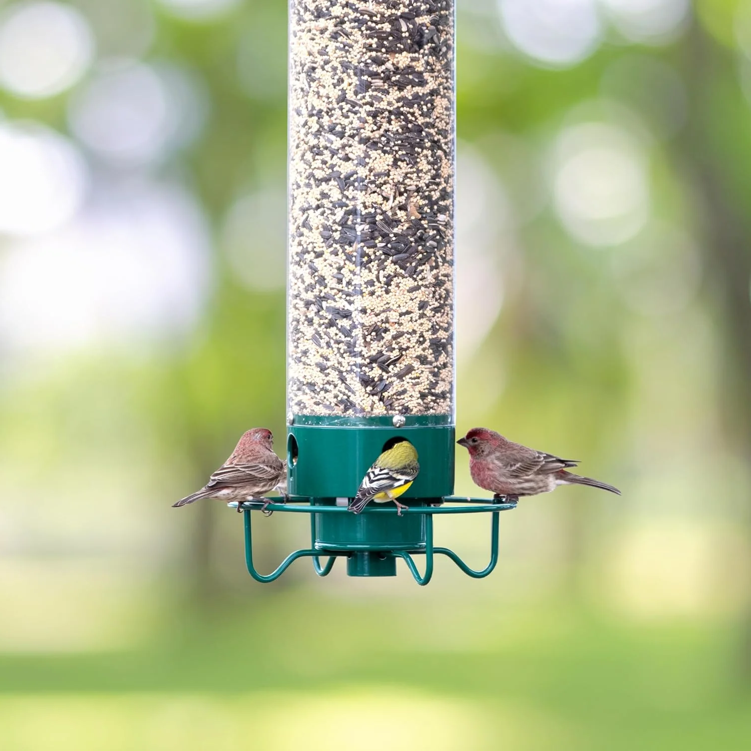 Comedero para Aves a Prueba de Ardillas - Diseño de Metal