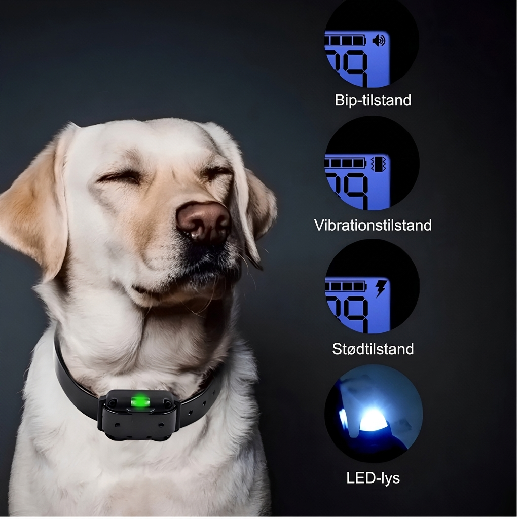 Collar de entrenamiento para perros a control remoto