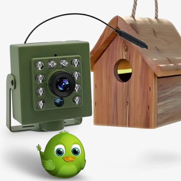 Cámara de Nido de Pájaro WiFi HD