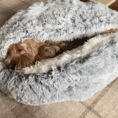 Cama de Cueva Calmante para Mascotas