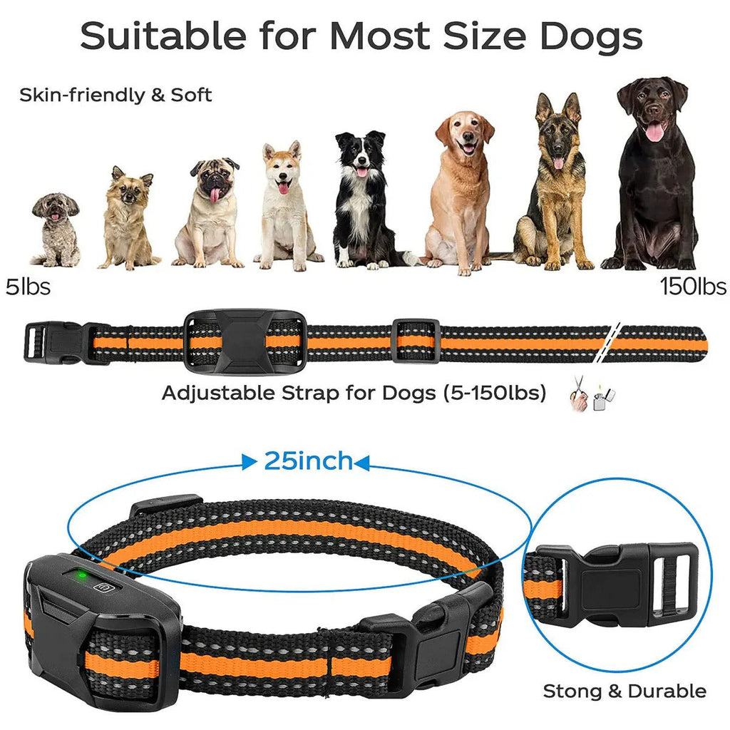 Collar E de Entrenamiento Remoto para Perros