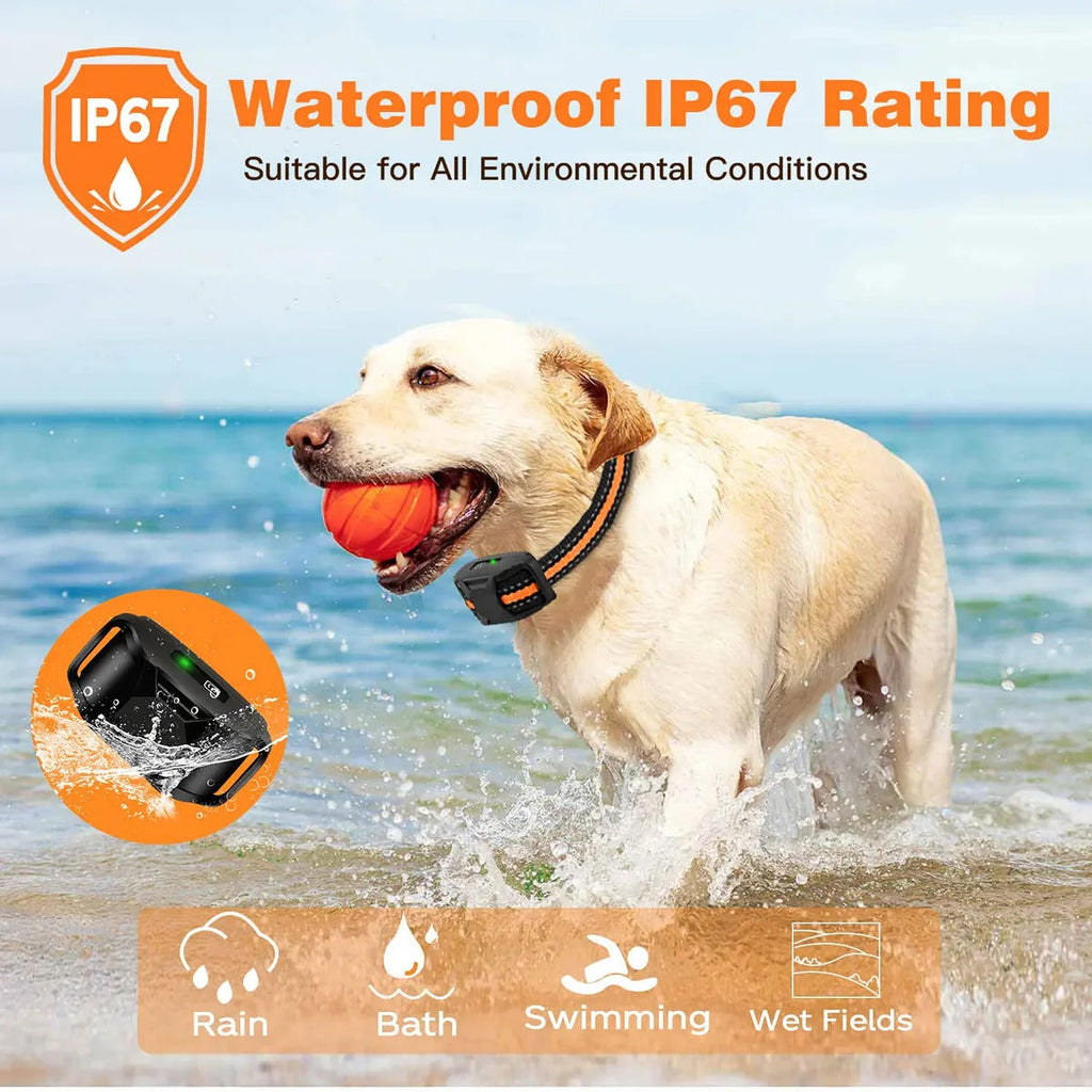 Collar E de Entrenamiento Remoto para Perros