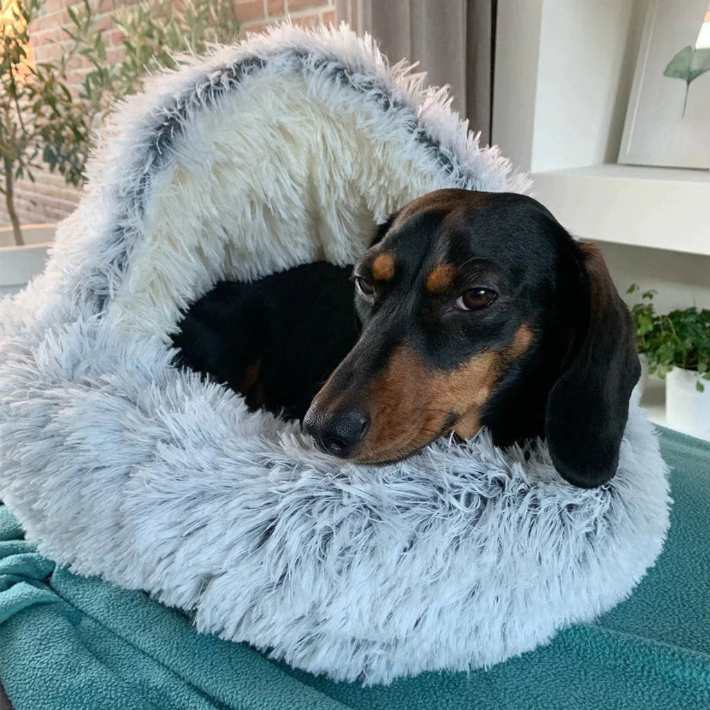 Cama de Cueva Calmante para Mascotas
