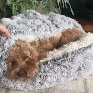 Cama de Cueva Calmante para Mascotas