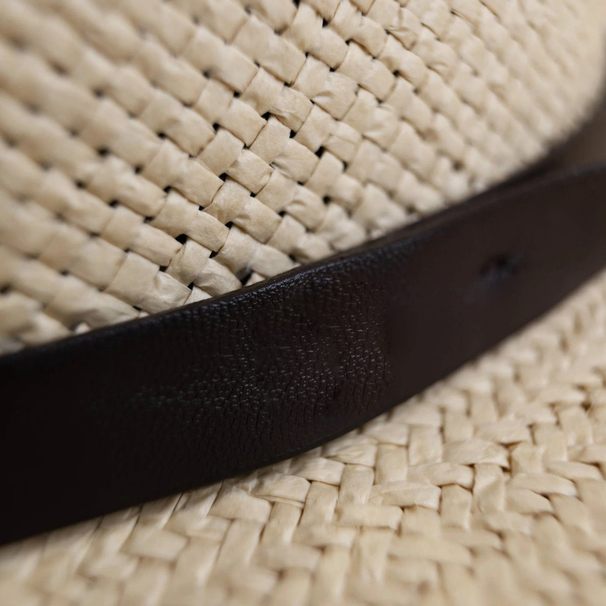 Sombrero Fedora de Paja Minimalista Moderno – Café | Bowlift