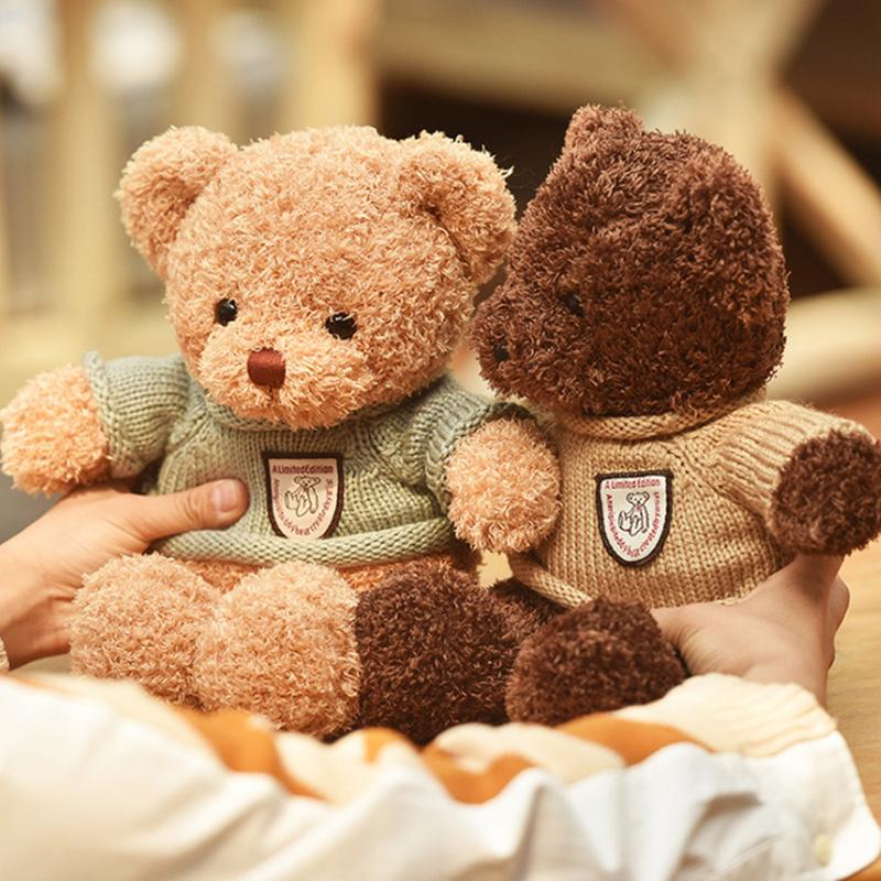 Osito de peluche grabador en suave beige y marrón