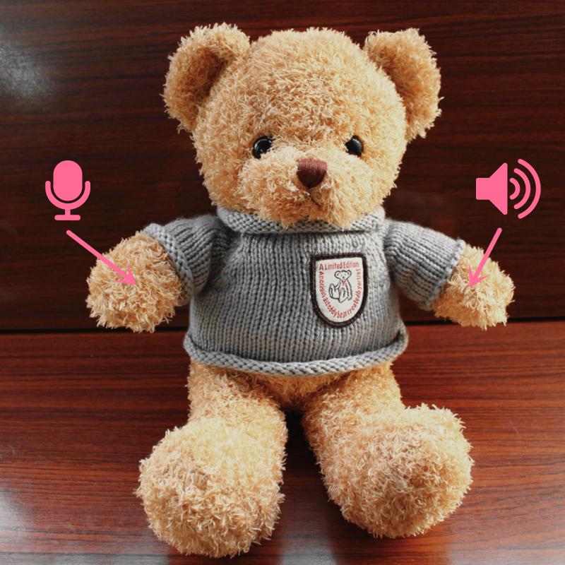 Osito de peluche grabador en suave beige y marrón