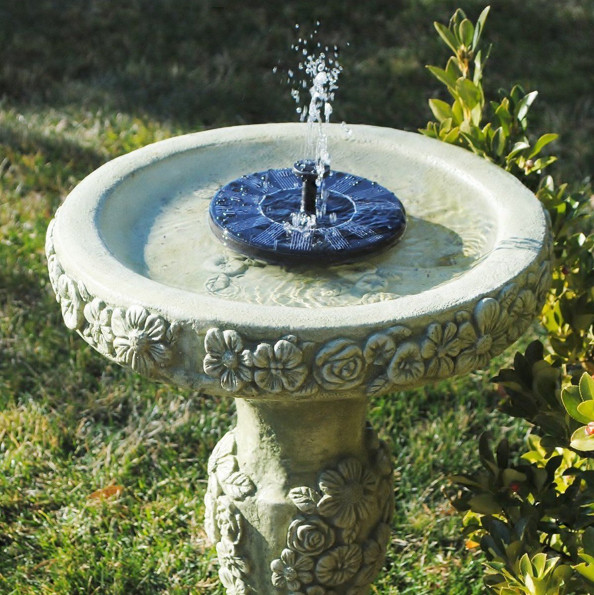 SunSplash™ - Ayuda a los pájaros a beber agua en días calurosos | 50% DESCUENTO