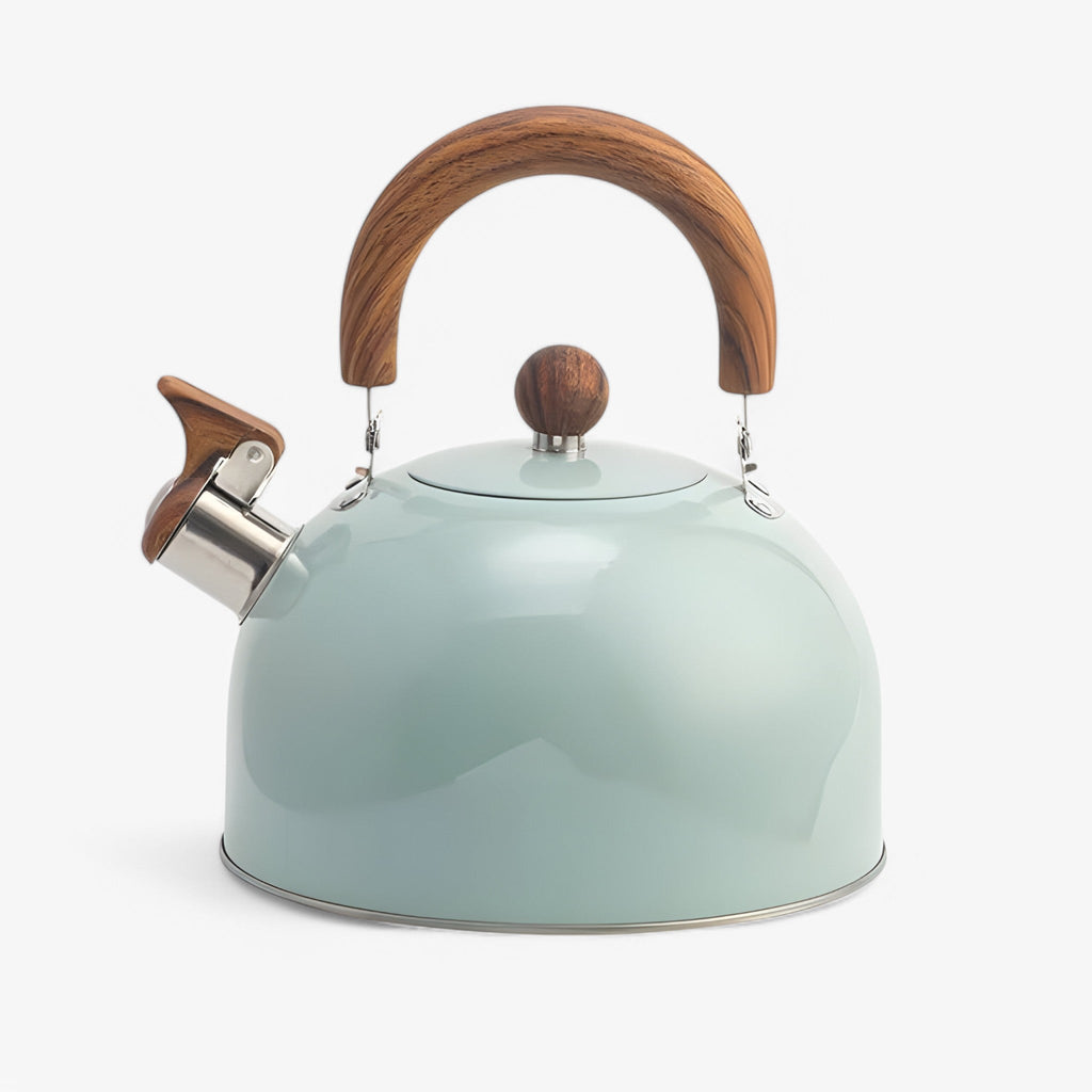 Hervidor Moderno para el Hogar – Eficiente y Fácil de Usar, 3L