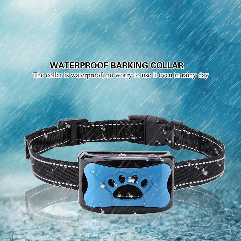 Collar Antibark Norvo - Seguro | Eficaz | Cómodo