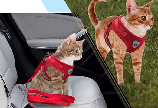 Lisslune | ARNES DE AVENTURA – Arnes para gatos a prueba de escapes con correa y elementos reflectantes
