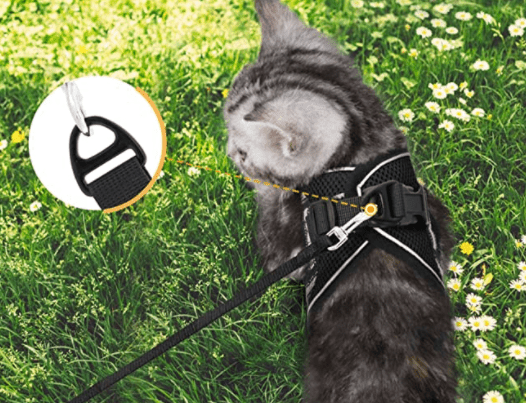 Lisslune | ARNES DE AVENTURA – Arnes para gatos a prueba de escapes con correa y elementos reflectantes