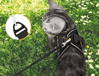 Lisslune | ARNES DE AVENTURA – Arnes para gatos a prueba de escapes con correa y elementos reflectantes