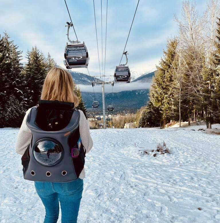 Mochila de Viaje para Gatos Grandes con Ventana Burbuja