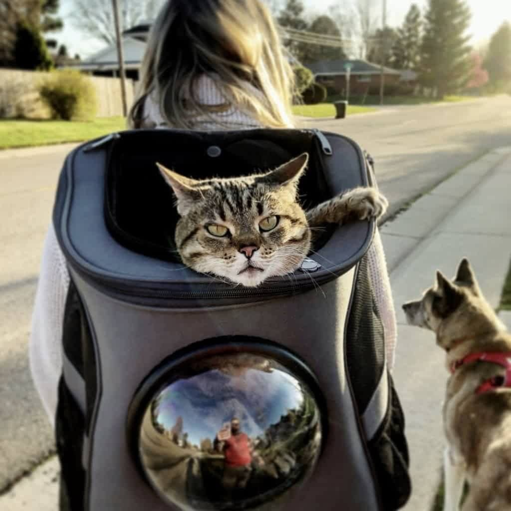 Mochila de Viaje para Gatos Grandes con Ventana Burbuja