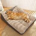 Cama Ortopédica Grande y Gruesa para Perros Grandes