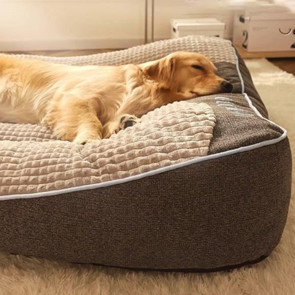 Cama Ortopédica Grande y Gruesa para Perros Grandes