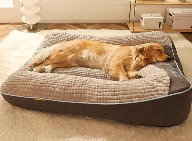 Cama Ortopédica Grande y Gruesa para Perros Grandes