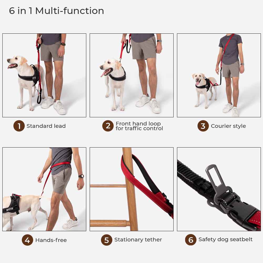Skanto | Chaqueta de lluvia para perros cool, impermeable y para todo clima