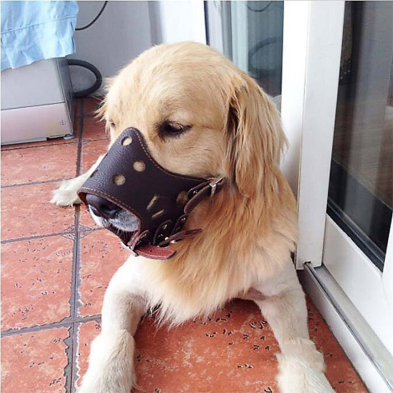 Muzzle de Perro de Cuero - Seguridad y Comodidad | Tamaños y Colores