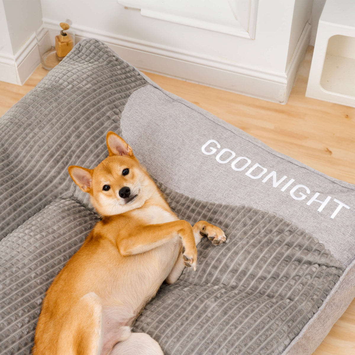 Cama Ortopédica para Perros con Cojín – Lujo y Comodidad