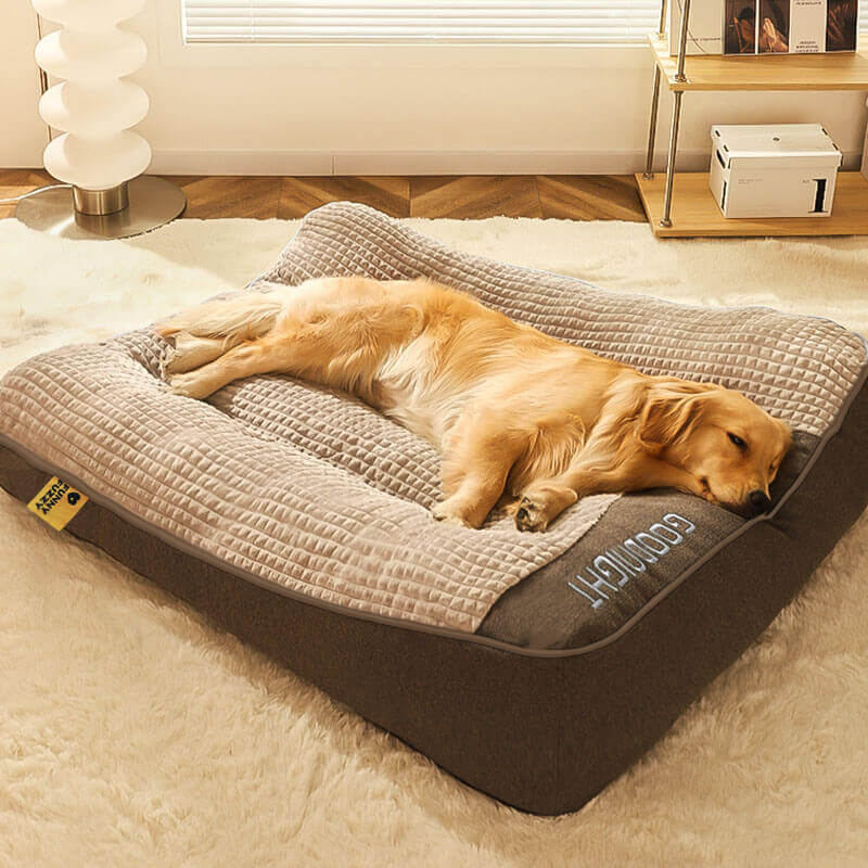 Cama Ortopédica para Perros con Cojín – Lujo y Comodidad
