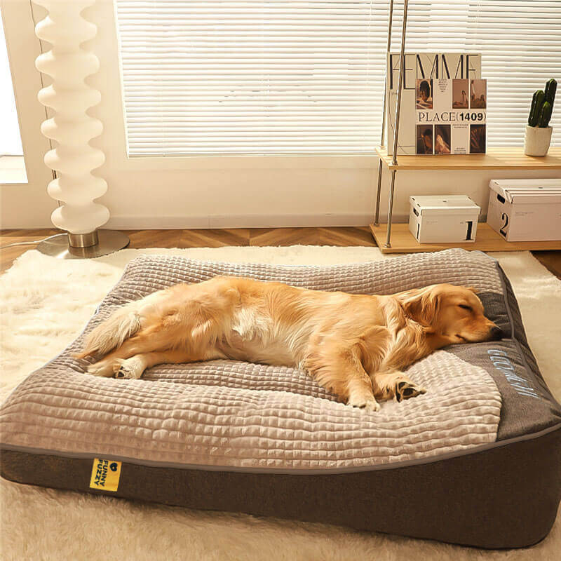 Cama Ortopédica para Perros con Cojín – Lujo y Comodidad