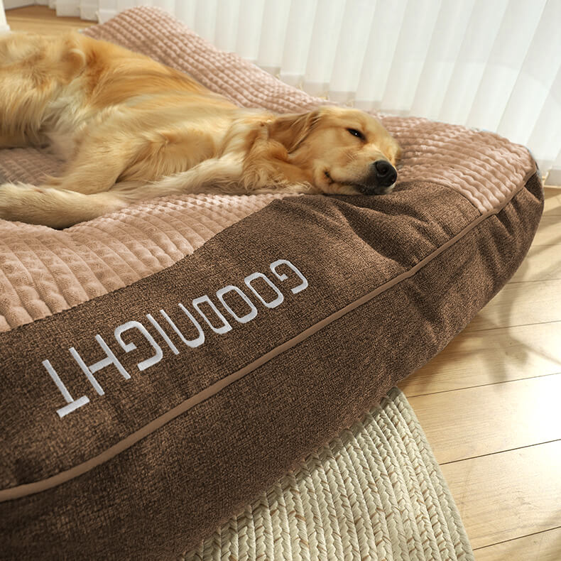 Cama Ortopédica para Perros con Cojín – Lujo y Comodidad