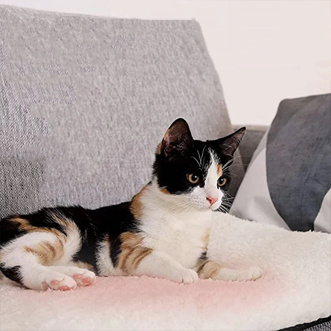 Almohadilla Autocalentadora para Gatos - Lujosa, Suave, Sin Necesidad de Electricidad