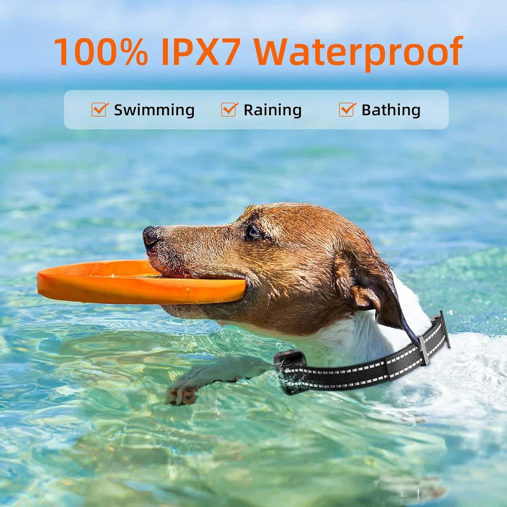 Collar E-Collar para Entrenamiento de Perros Impermeable y Recargable de 1000m