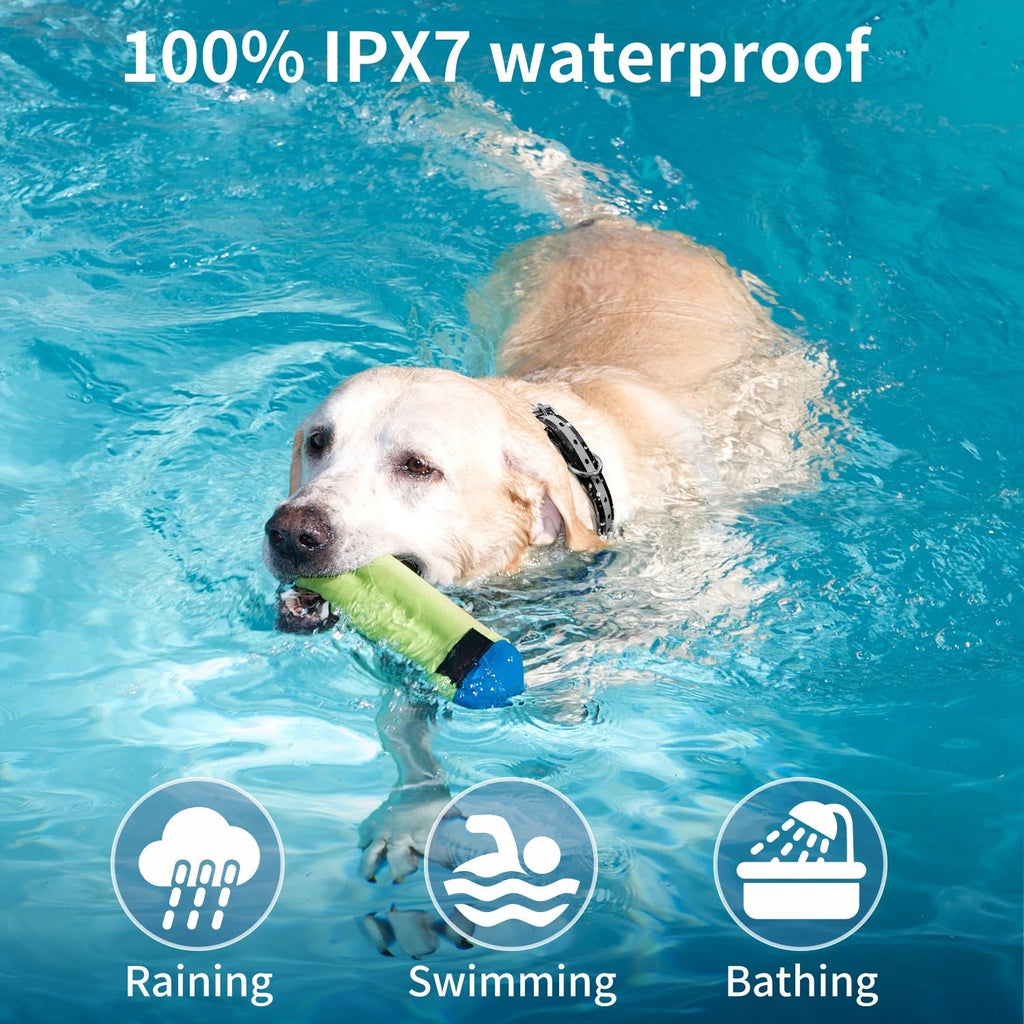 Collar de Entrenamiento para Perros Recargable e Impermeable