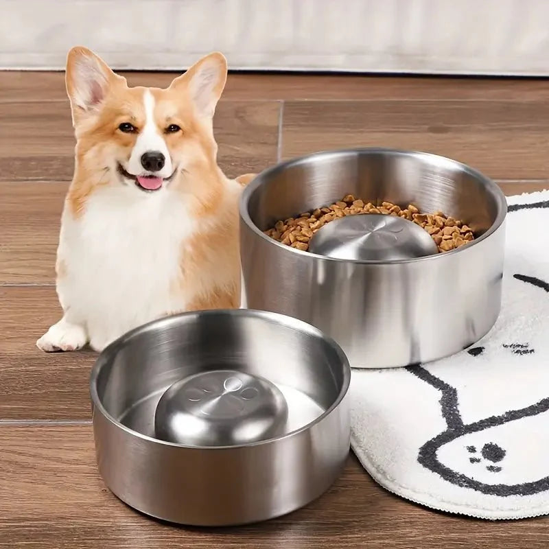 MealPace • Cuenco Antisíndrome para Perros