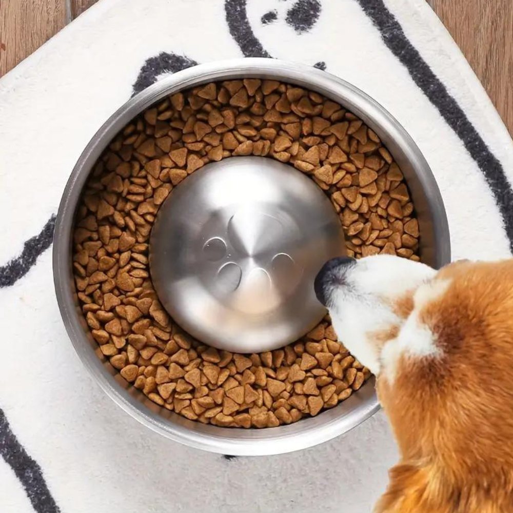 MealPace • Cuenco Antisíndrome para Perros