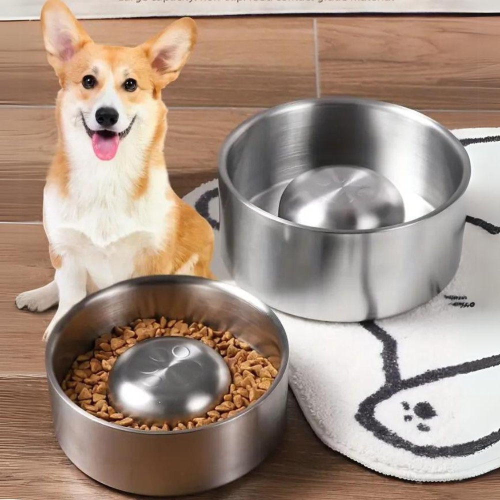 MealPace • Cuenco Antisíndrome para Perros
