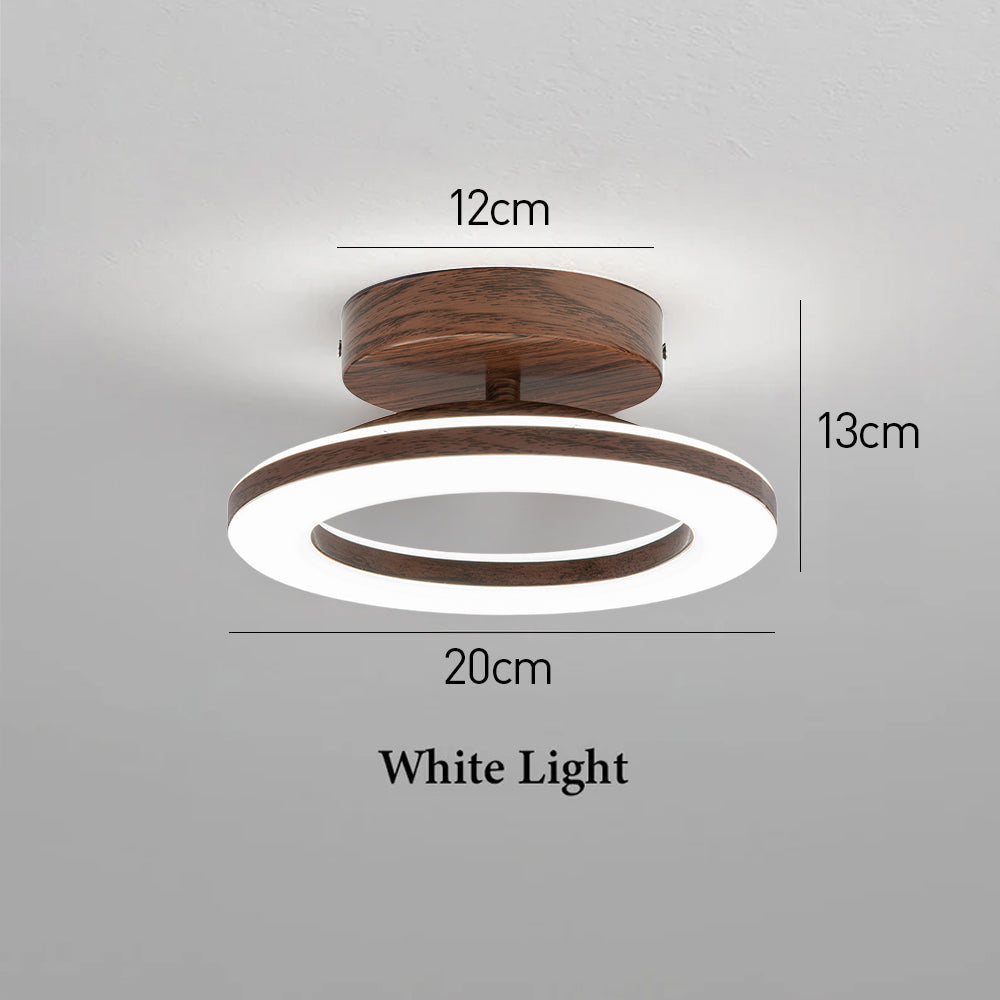 Luz de Techo Disco Moderno - Diseño de Brillo Neutro