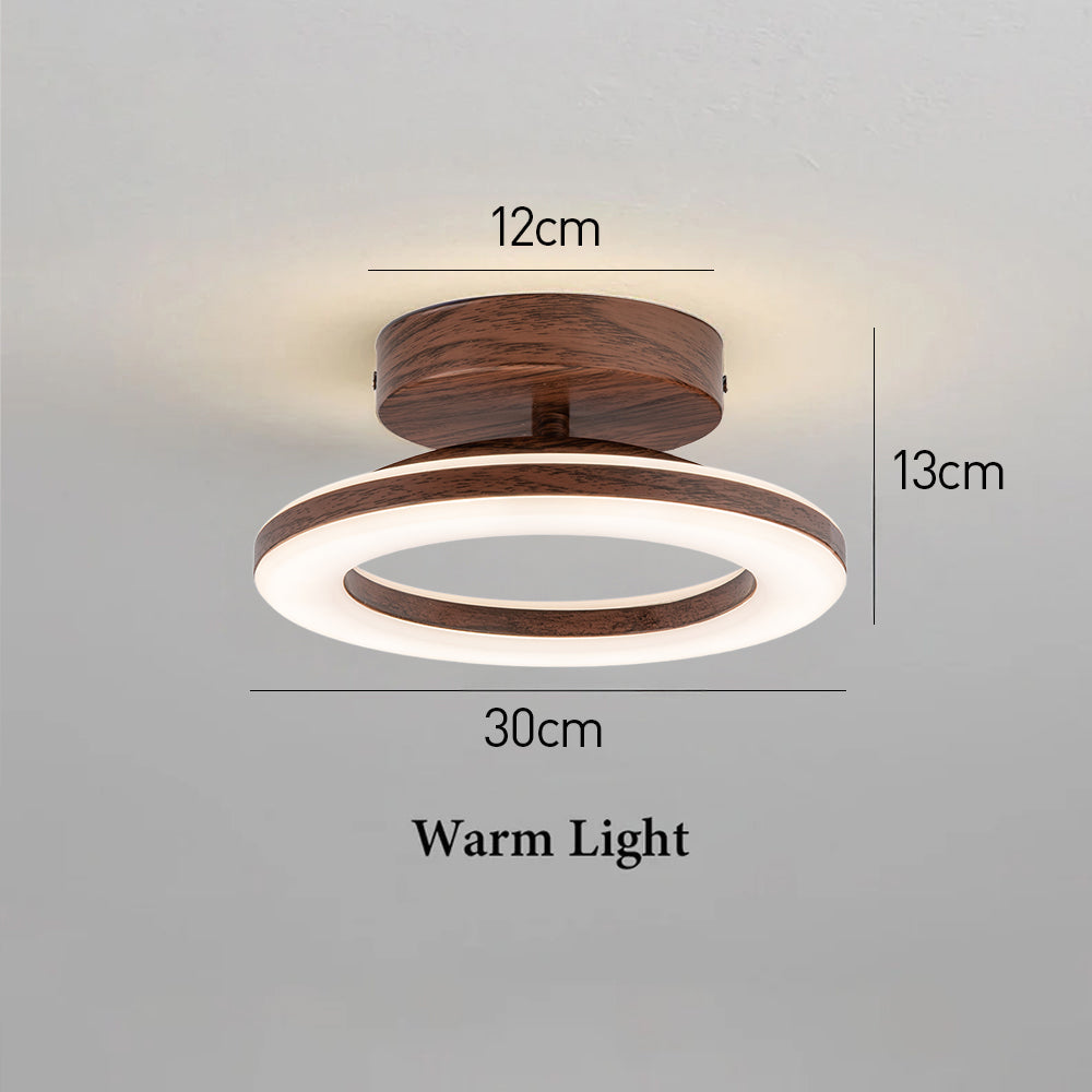 Luz de Techo Disco Moderno - Diseño de Brillo Neutro