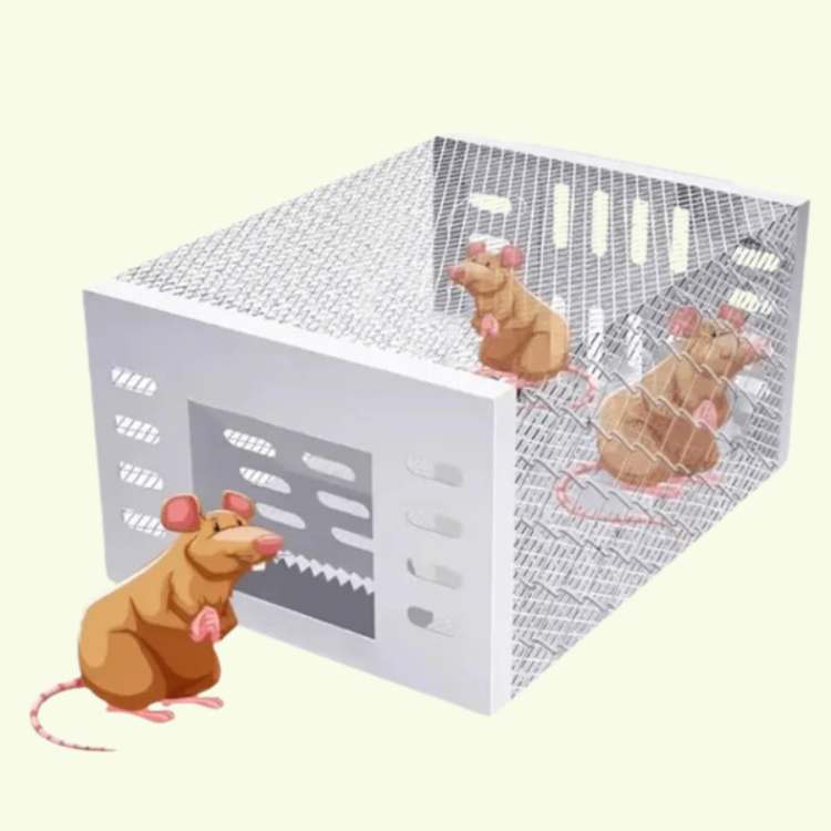 Trampa para Ratones de Acero Inoxidable NoEscape