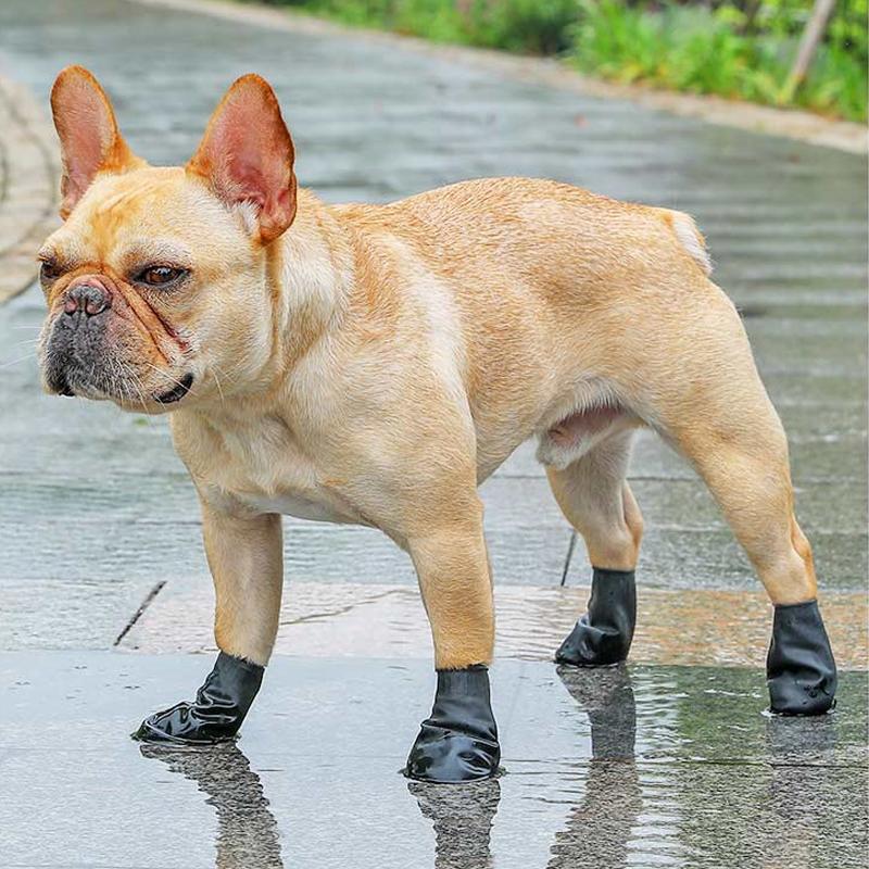 PootShield Botas Impermeables para Perros con Agarre y Comodidad Protectora