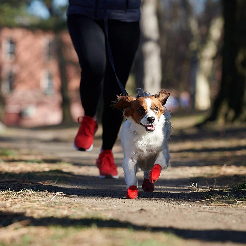 PootShield Botas Impermeables para Perros con Agarre y Comodidad Protectora